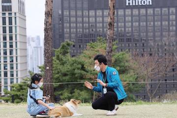 Kỳ nghỉ của bạn sẽ trở nên hoàn hảo hơn tại khách sạn Millennium Hilton Seoul
