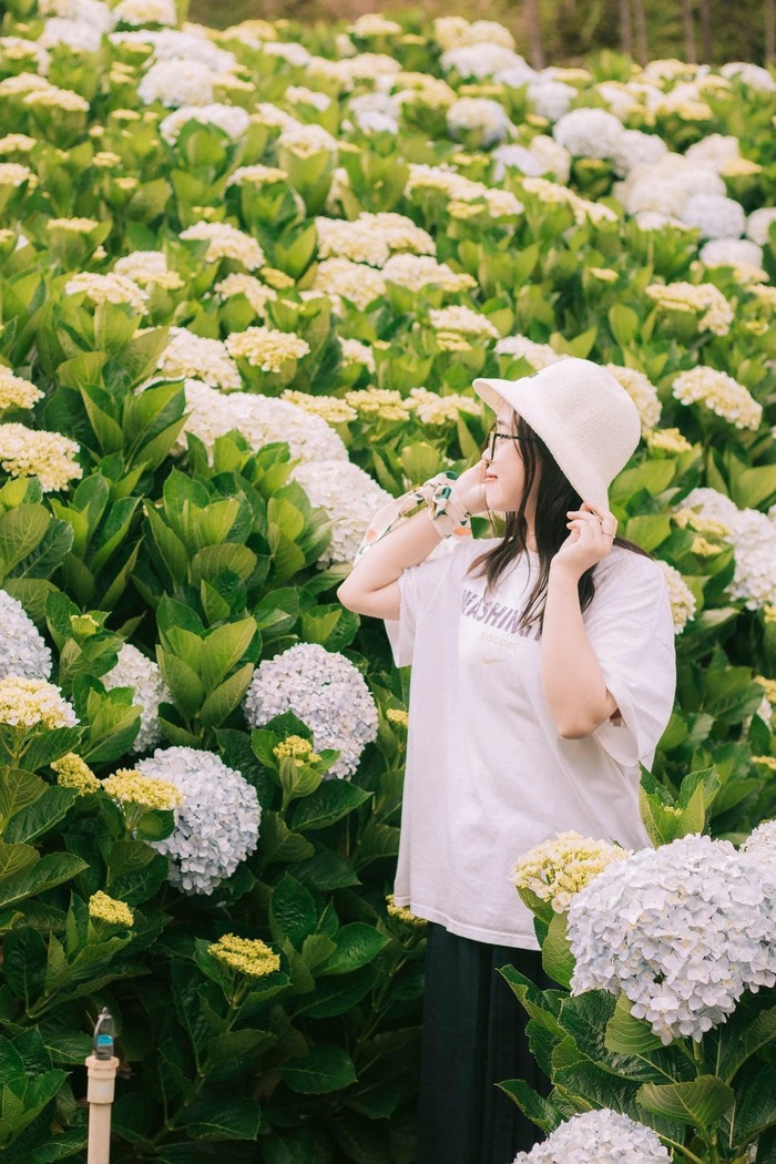 Khách sạn TTC Ngọc Lan