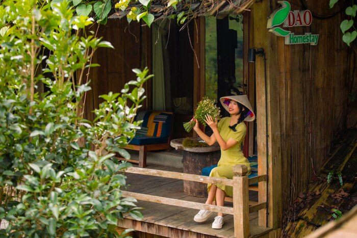 homestay đẹp ở Sapa sở hữu không gian sống xanh thơ mộng