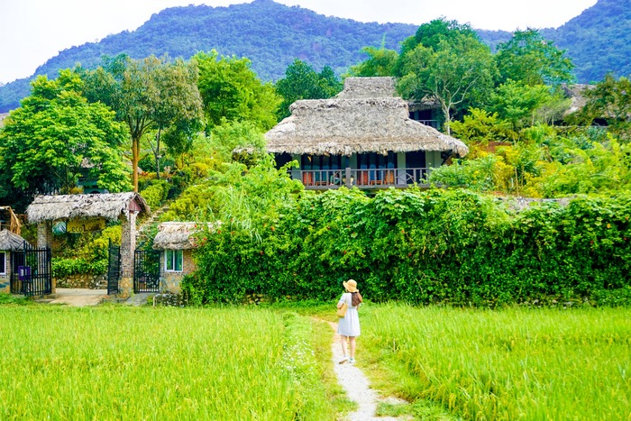 resort đẹp ở Mai Châu được bao bọc giữa không gian thiên nhiên Tây Bắc thơ mộng