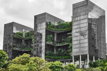 Khách sạn Parkroyal Collection Pickering – Ốc đảo xanh giữa lòng Singapore
