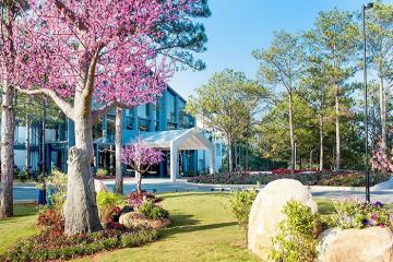 Nghỉ dưỡng 4 sao tại Terracotta Hotel & Resort Dalat chỉ từ 535.000 vnđ/khách