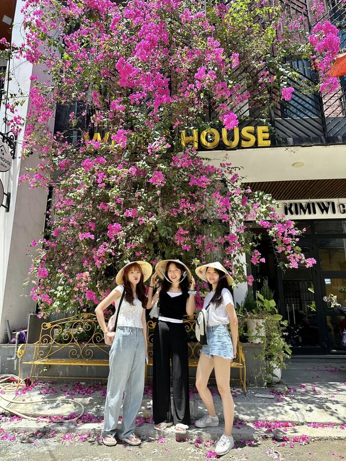 homestay chất lượng ở Đà Nẵng Wings House là địa chỉ được nhiều du khách yêu thích