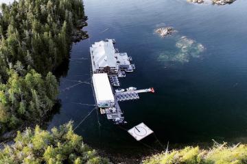 Khách sạn King Pacific Lodge, nàng công chúa ngủ trong rừng biệt lập ở Canada