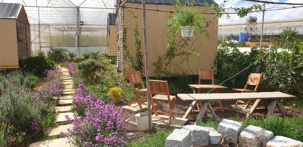 Eco-Dream Farmstay