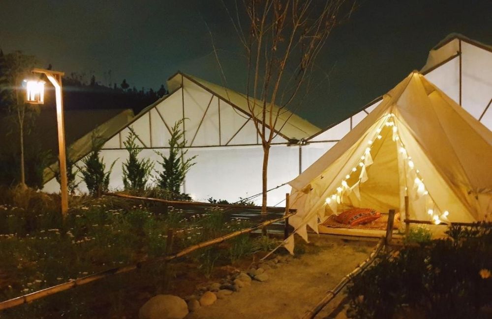 Eco-Dream Farmstay