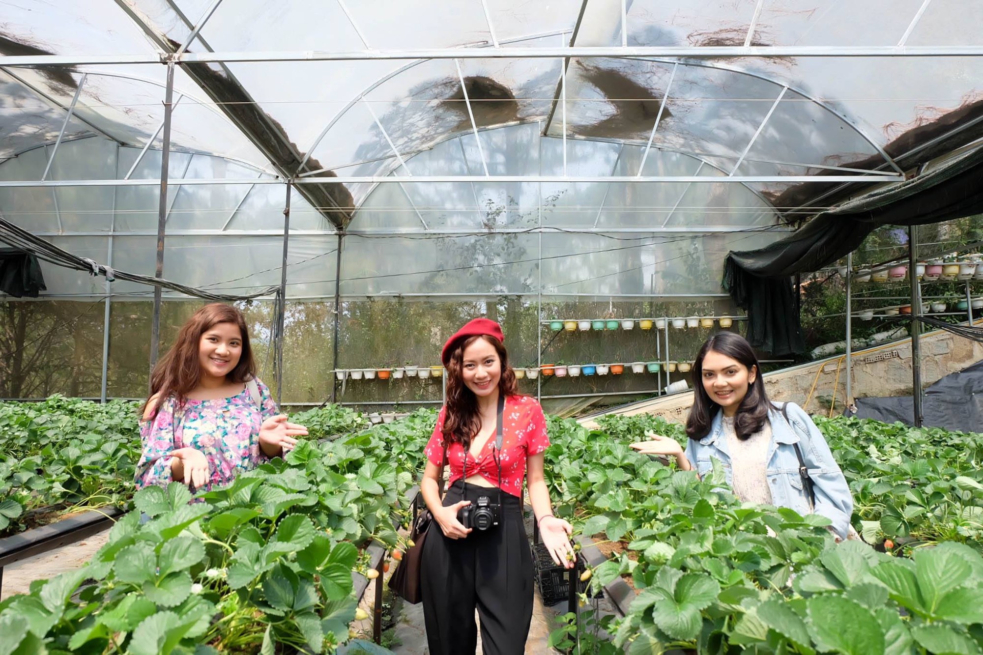 Farm'ily Farmstay