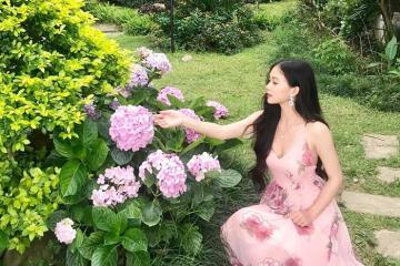 Dừng chân tại khu nghỉ dưỡng nức danh Vĩnh Phúc - Belvedere Resort Tam Đảo đẳng cấp và sang chảnh