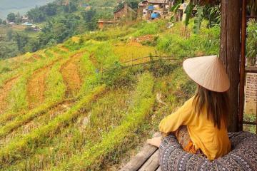 Thư giãn thảnh thơi giữa núi rừng hoang sơ, thơ mộng tại khu nghỉ dưỡng Eco Palms House - Sapa Retreat ấn tượng