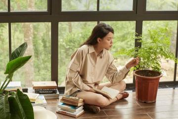 Le Vent Homestay Tam Đảo – Biệt thự đẳng cấp giữa núi rừng hoang sơ, thơ mộng
