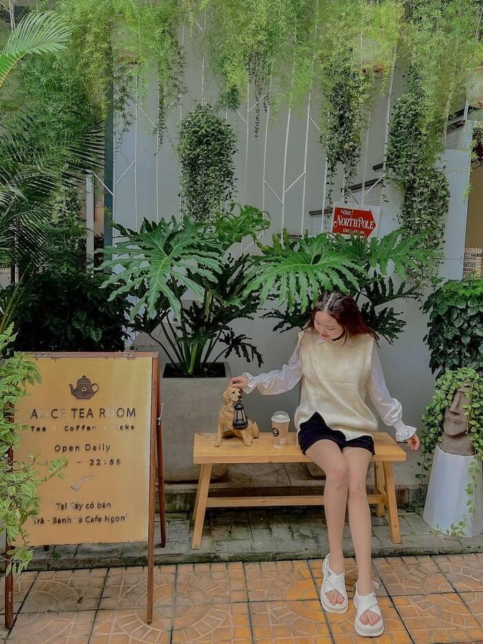 Homestay đẹp ở Phú Yên - Daisy House